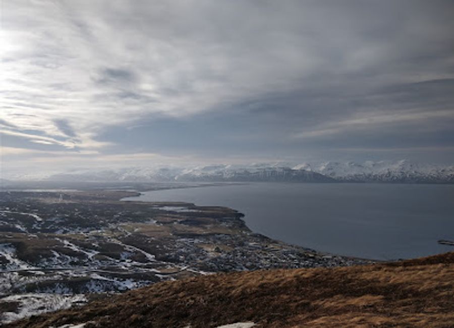 Explore the breathtaking Húsavíkurfjall mountain peak in Iceland for stunning views, hiking adventures, and unforgettable nature experiences.