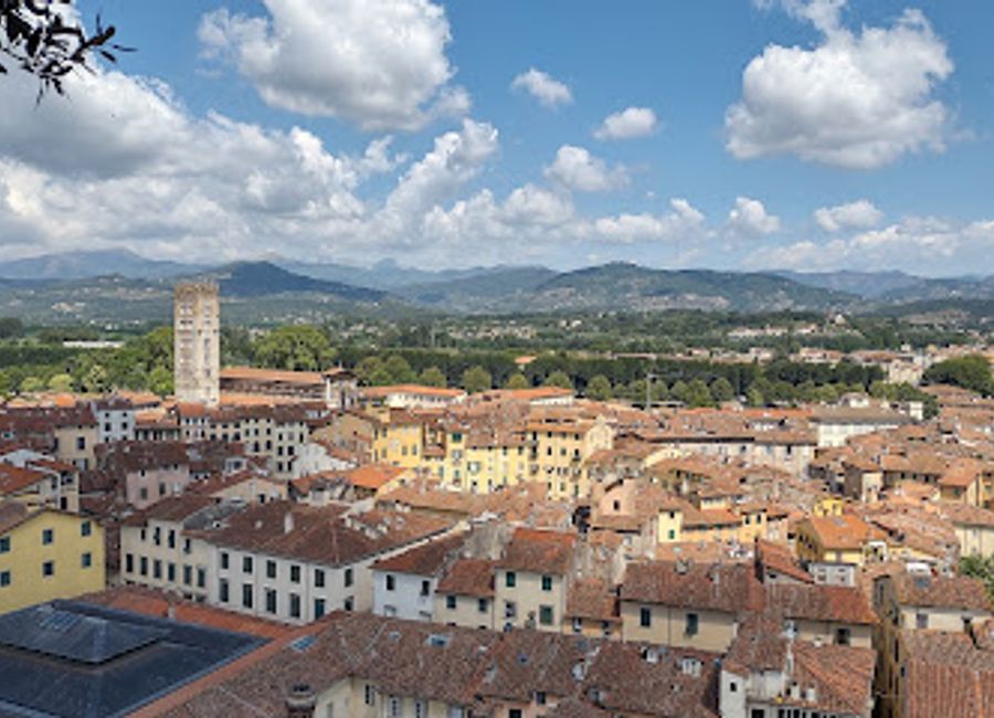 Discover the stunning Guinigi Tower, a historical landmark in Lucca with breathtaking views, unique rooftop gardens, and rich architectural beauty.