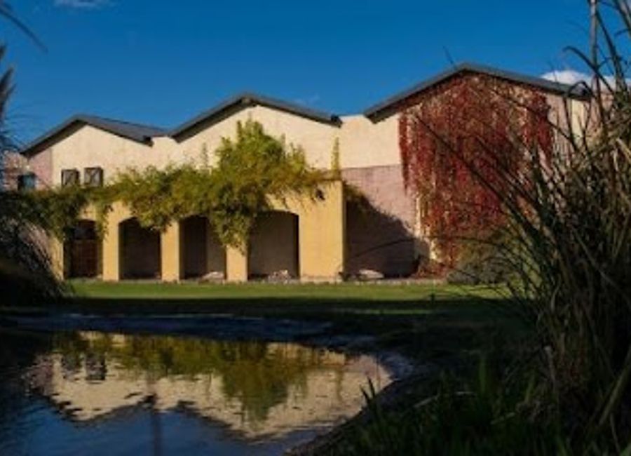 Experience the charm of Mendoza at Bodega Tierras Altas, where exquisite wines meet stunning vineyard landscapes and delightful dining.