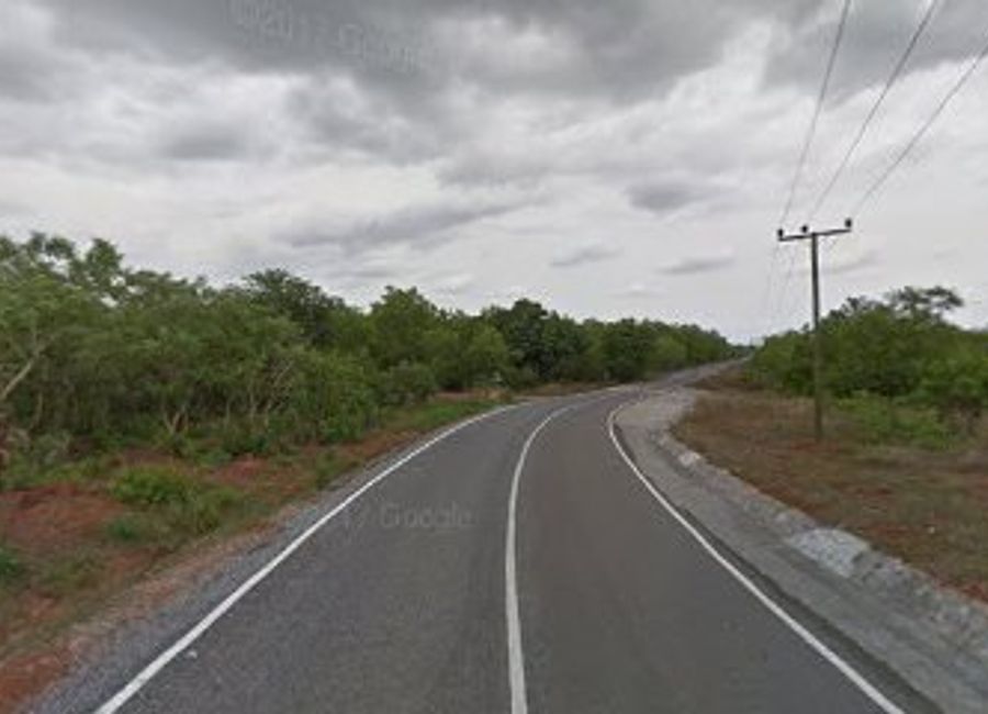 Discover the exceptional wildlife and serene landscapes of Mole National Park, Ghana's largest national park, perfect for nature lovers and adventure seekers.