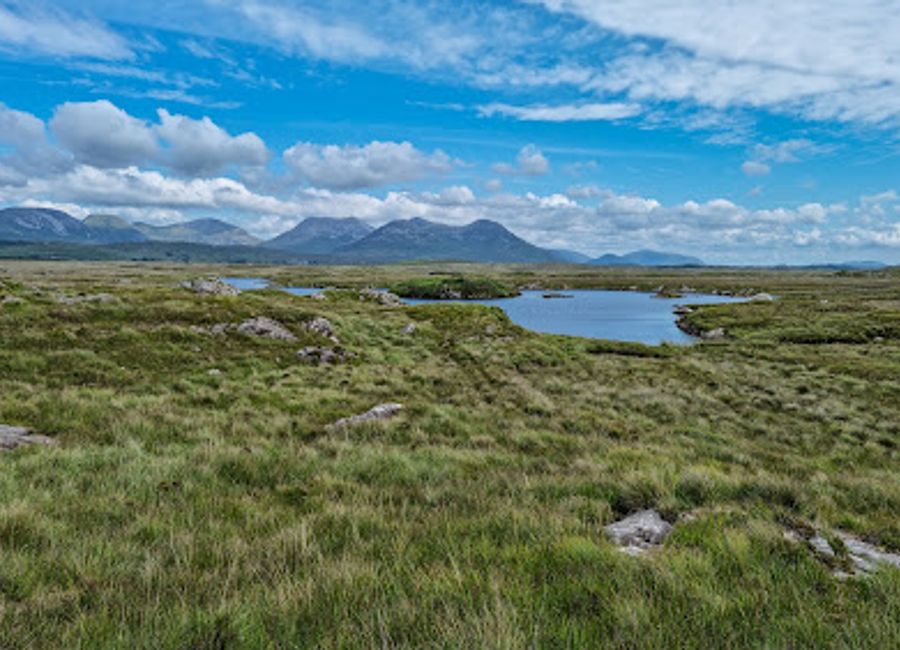Explore the serene landscapes of Roundstone Bog in Galway, where nature's beauty thrives amidst rich biodiversity and peaceful trails.