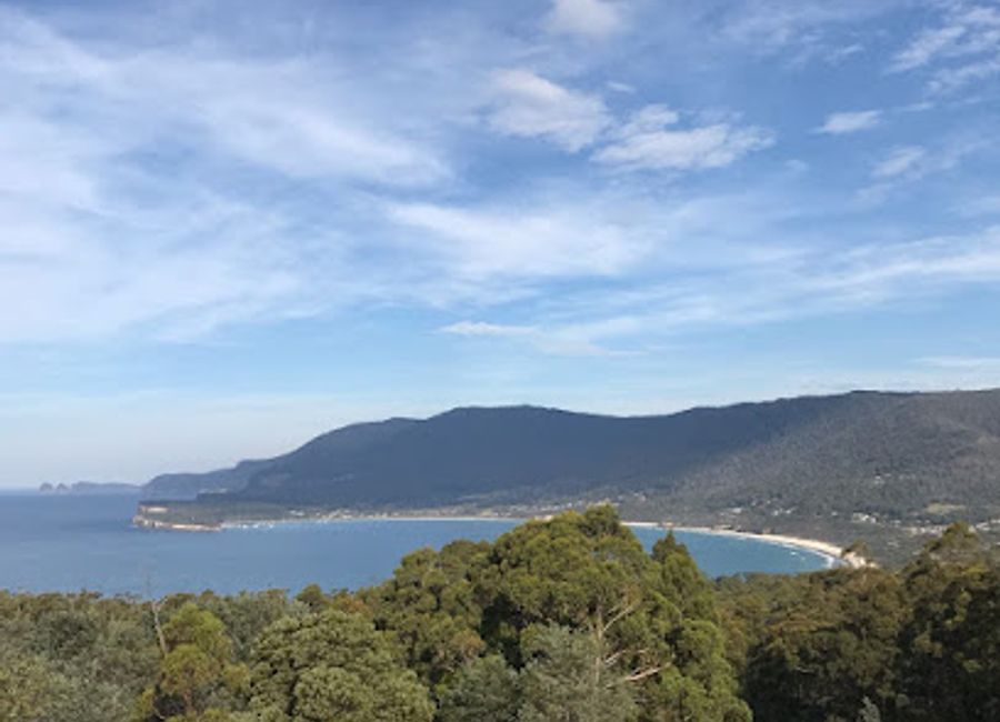 Discover Tasmania's wildlife at the Tasmanian Devil Unzoo, a unique conservation-focused park featuring close encounters with native animals.