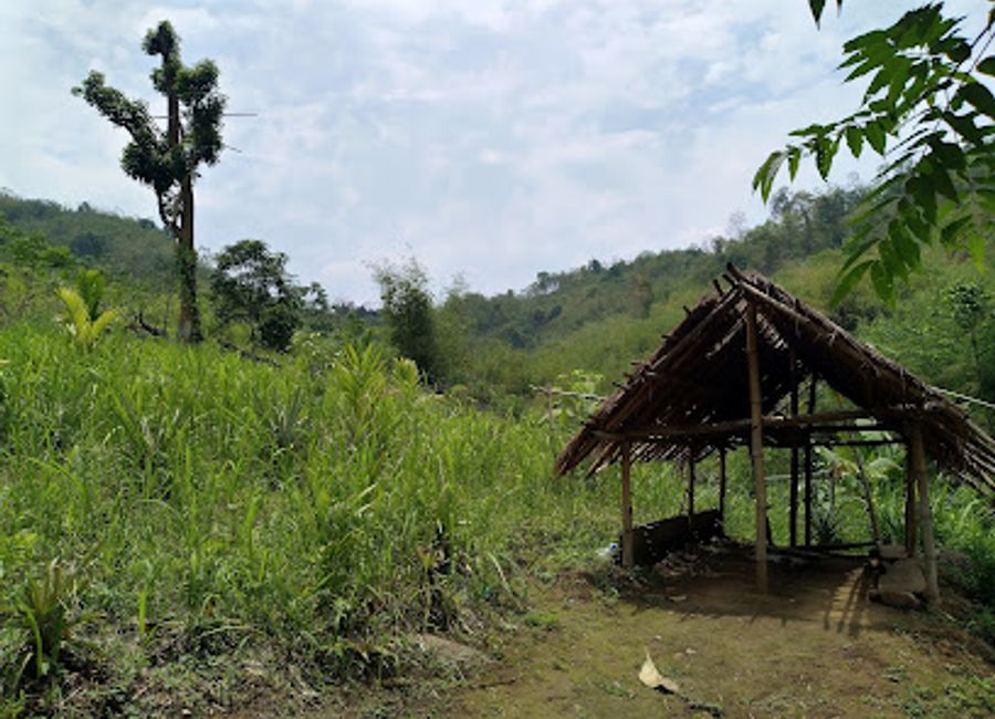Discover the stunning Kakochang Waterfall, a hidden gem near Kaziranga National Park, where nature's beauty and adventure await.