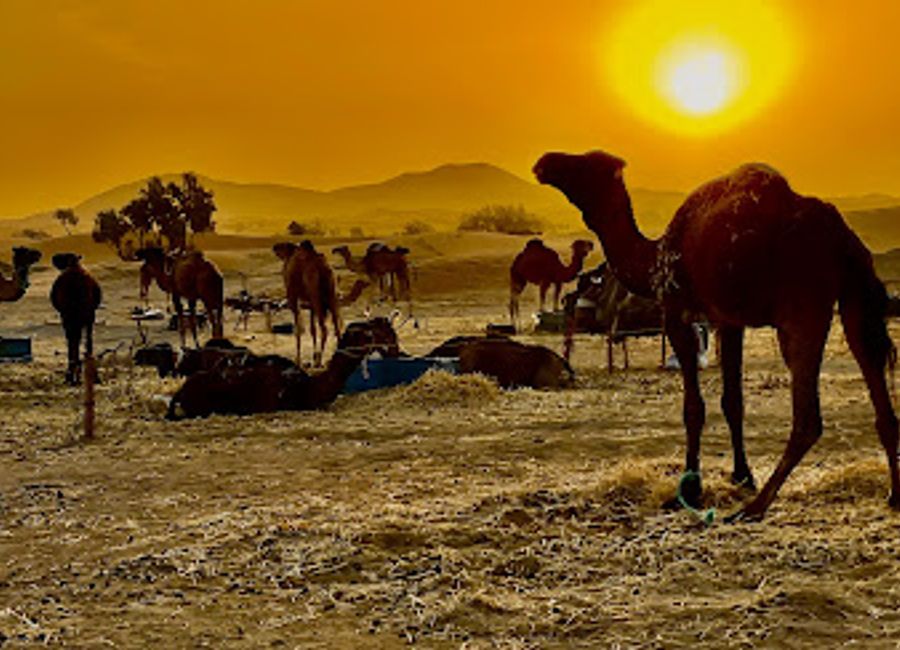 Discover the enchanting Sahara Desert with personalized tours that offer adventure, culture, and stunning landscapes in Morocco's breathtaking dunes.