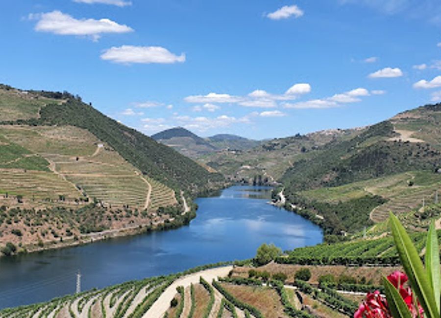 Discover the enchanting Quinta do Pôpa, where exquisite wines meet breathtaking views in the heart of the Douro Valley.