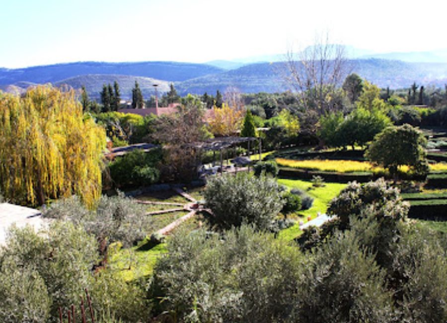 Experience the harmonious blend of nature and wellness at Bio-Aromatique de l'Ourika Garden, a serene escape in the heart of the Ourika Valley.