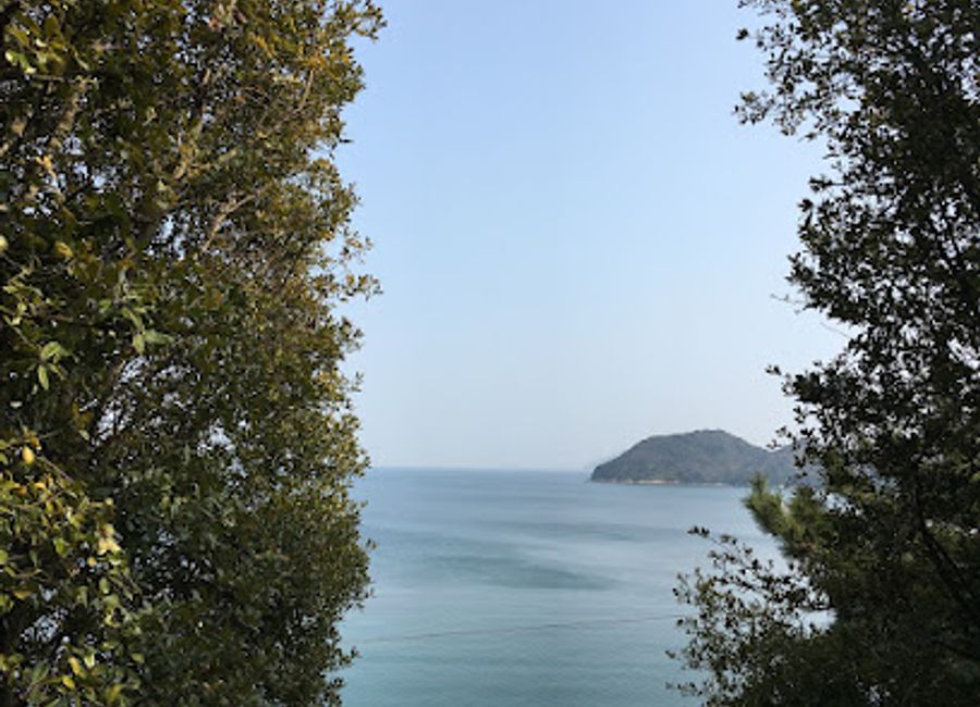 Discover the Art House Project: Minamidera in Naoshima, where modern art meets traditional Japanese architecture in a serene setting.