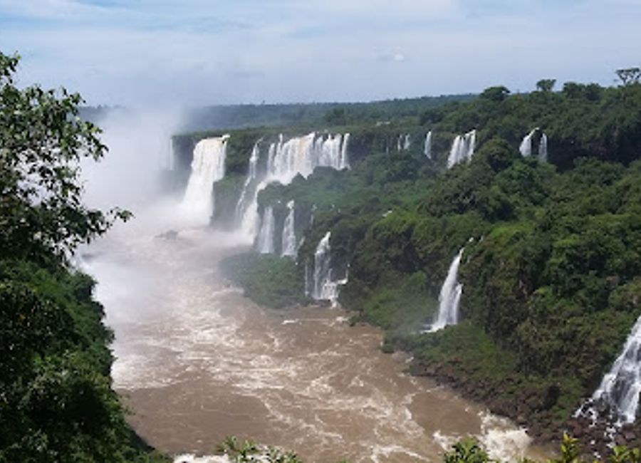 Explore Parque das Aves: A vibrant zoo and nature preserve showcasing the beauty of exotic birds and lush ecosystems near Iguaçu Falls.