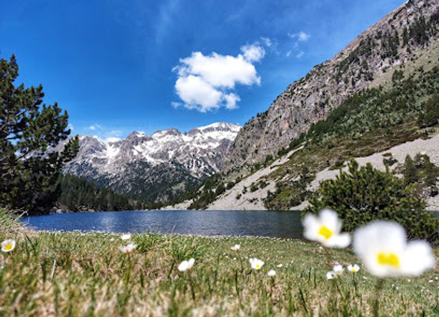 Experience the breathtaking beauty of Parc Nacional d'Aigüestortes, a natural paradise in the Pyrenees with stunning landscapes and diverse wildlife.