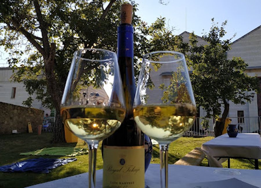 Discover the exquisite world of Hungarian wines at Royal Tokaji Winery, where rich history meets modern winemaking excellence.