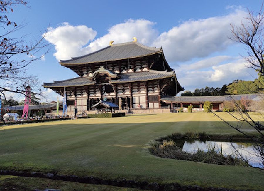 Explore the beauty and tranquility of Nara Park, where free-roaming deer and ancient temples await your discovery in Japan's historic capital.