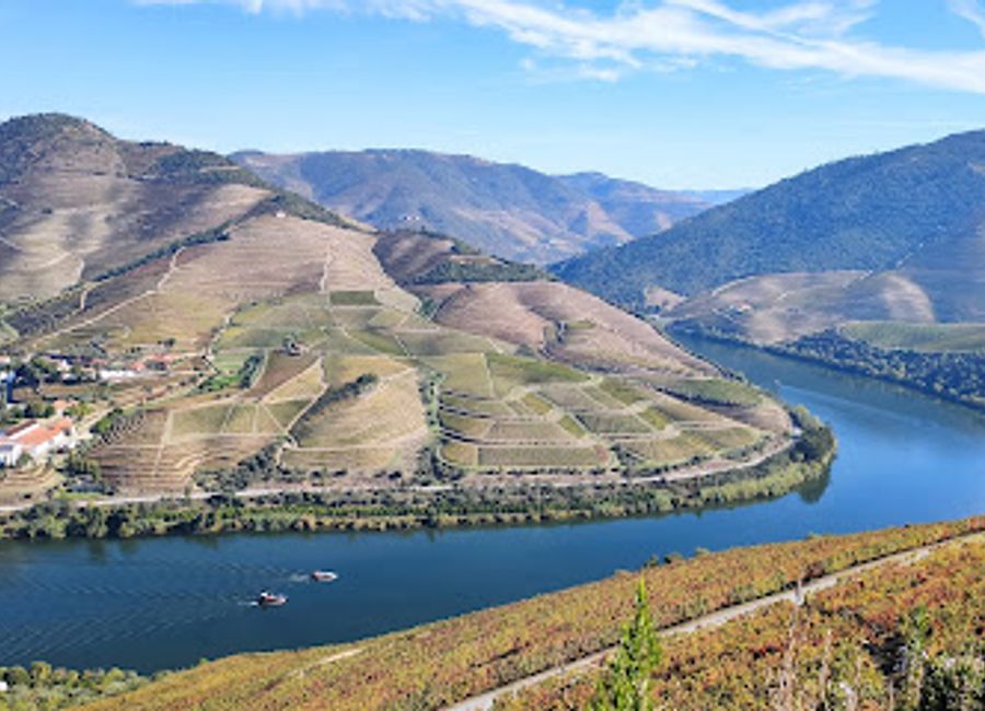 Experience the rich flavors and breathtaking views at Quinta das Carvalhas, a premier winery in Portugal's beautiful countryside.