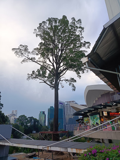 The 10 best landmarks near The Jelutong Tree (2026 ranked)