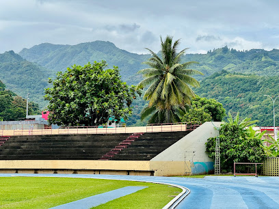 The 10 best attractions near Pater Te Hono Nui Stadium (2026 ranked)