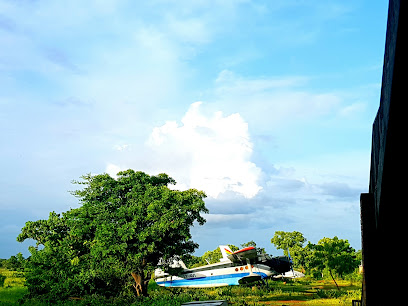 Background