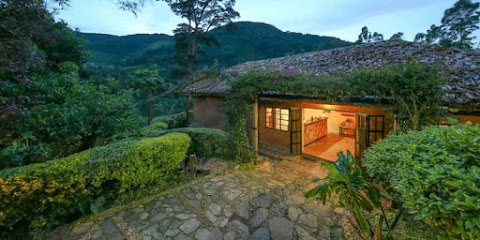 The 10 best shops near Visit and Tour Rwanda - Rwanda Gorilla Trekking ...