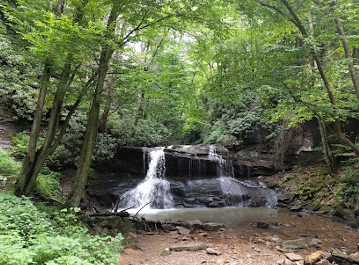 The 10 best attractions near Holly River State Park (2026 ranked)