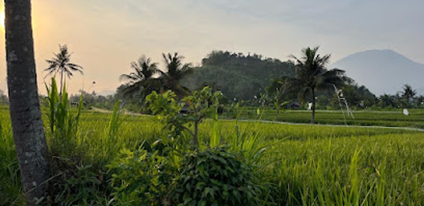 Background