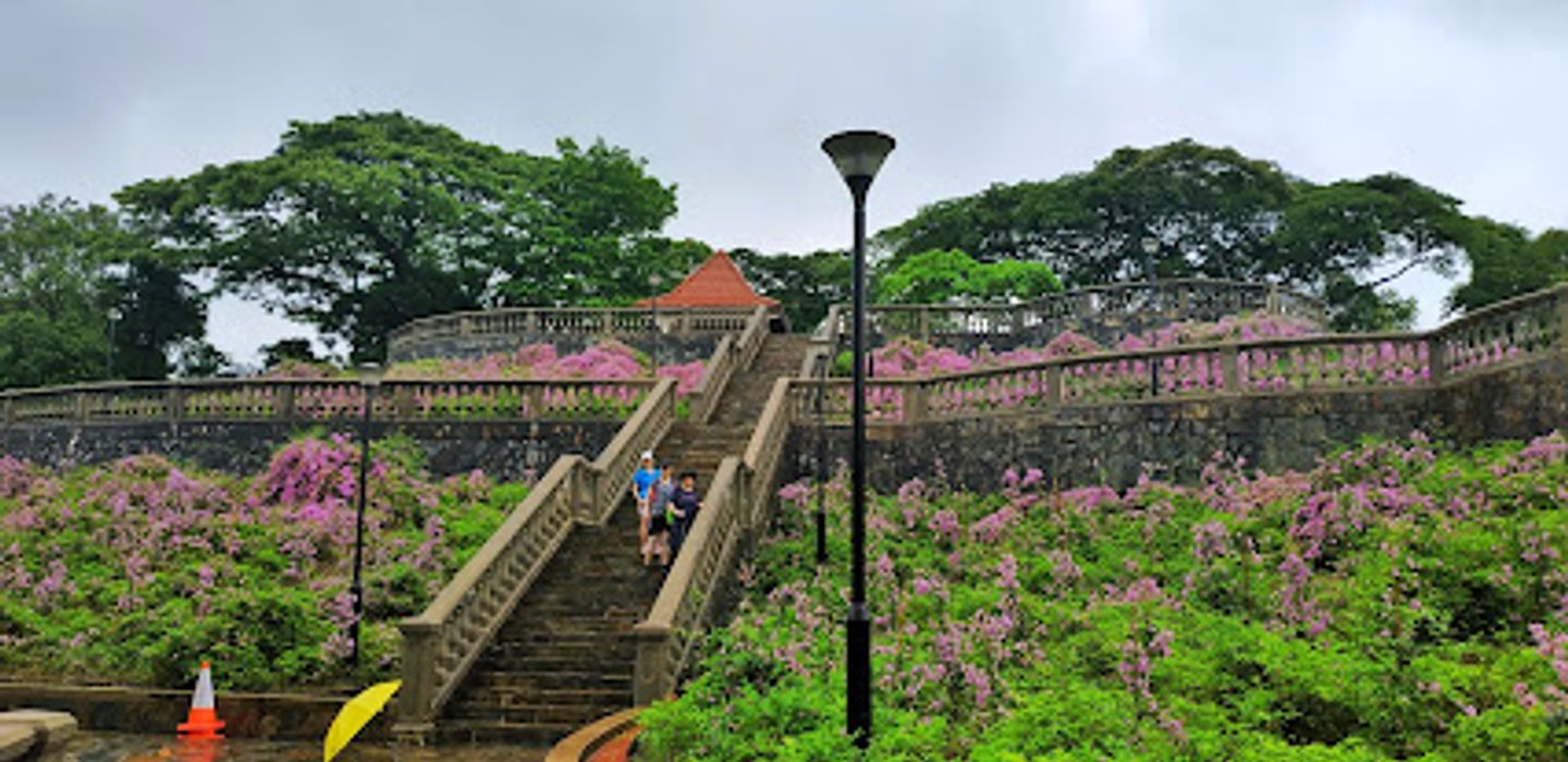 Background