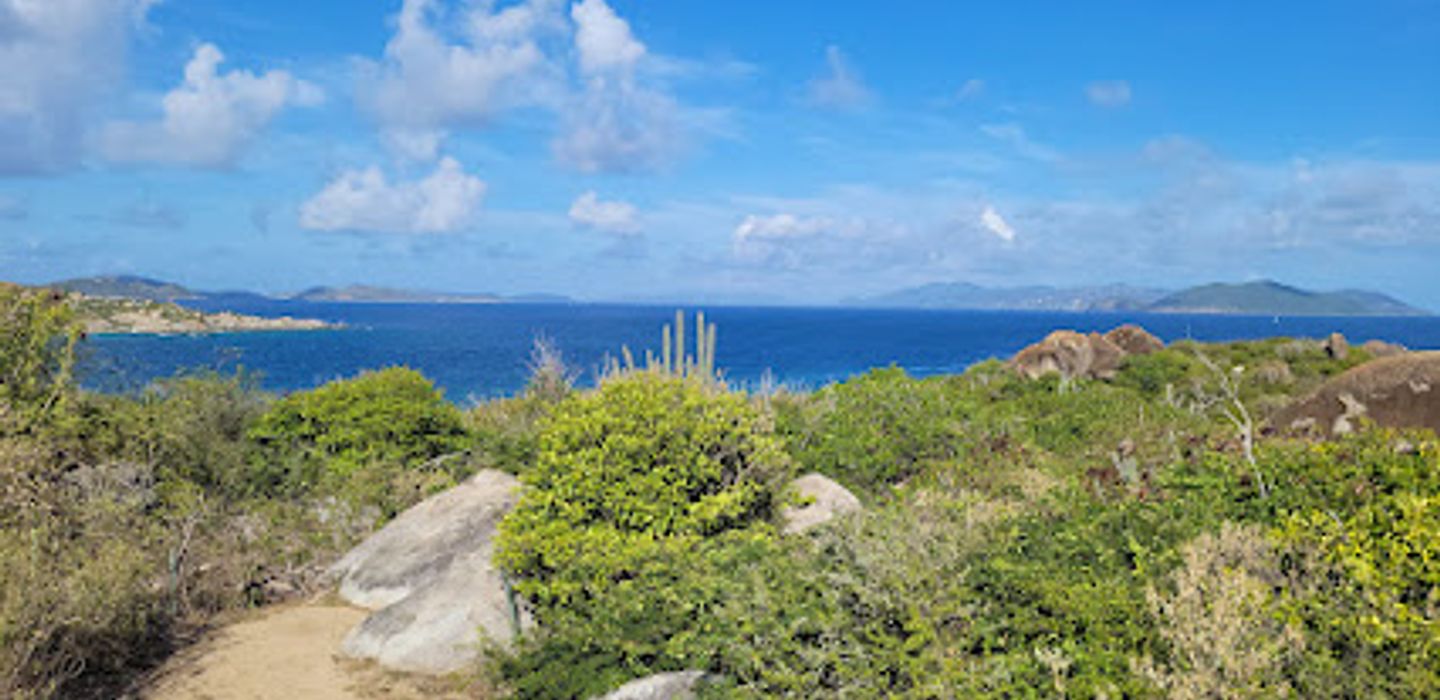Background