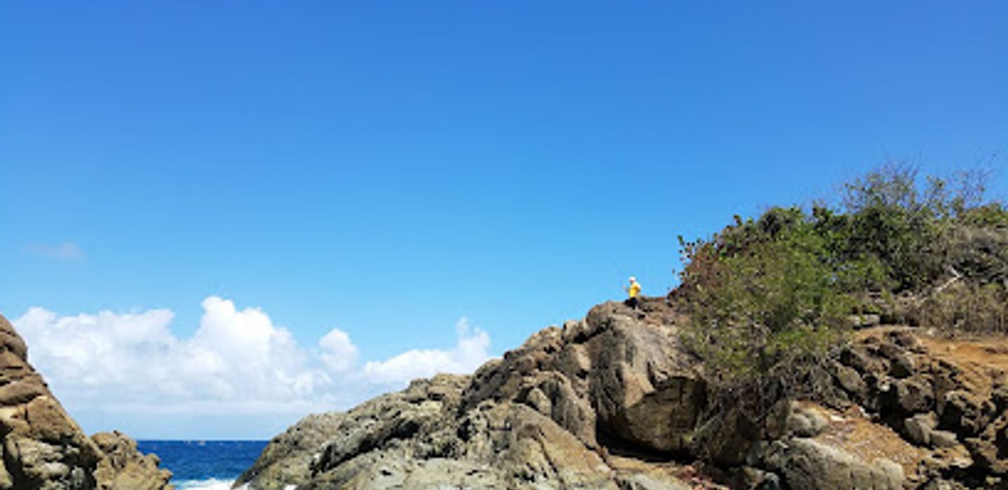 Background