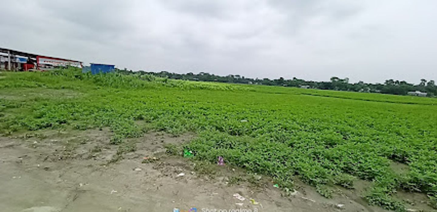 Background