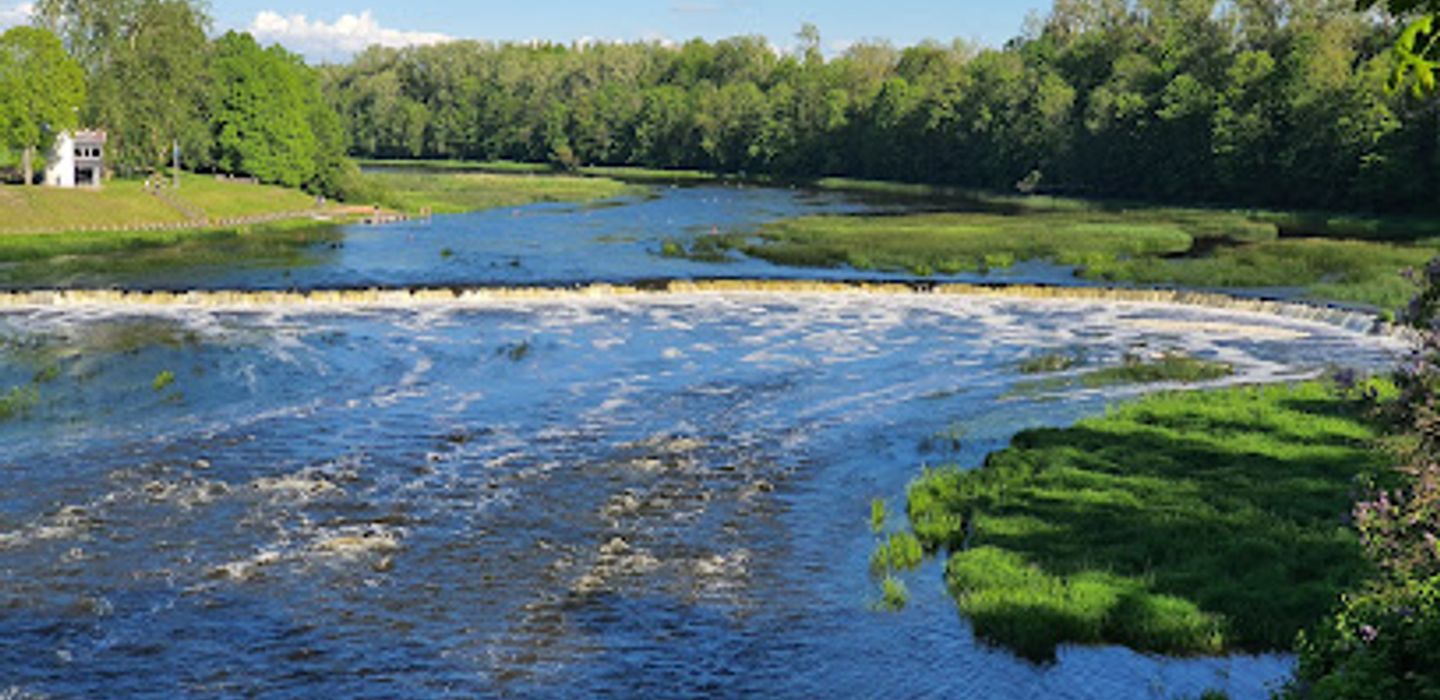 Background