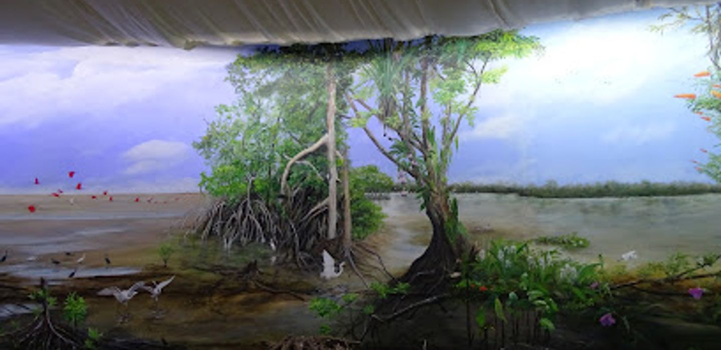 Background