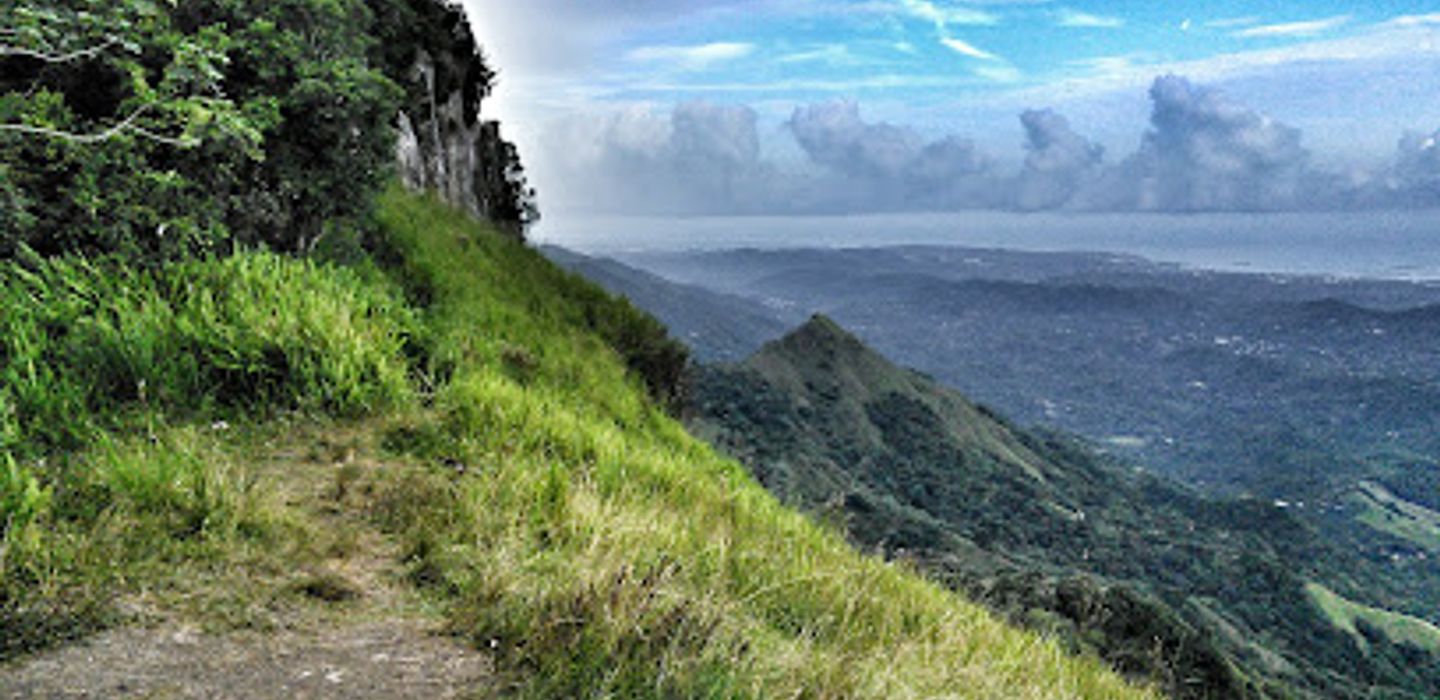 Background