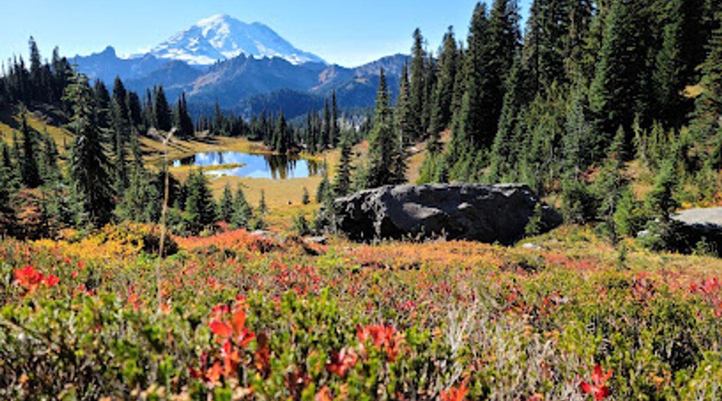 Background