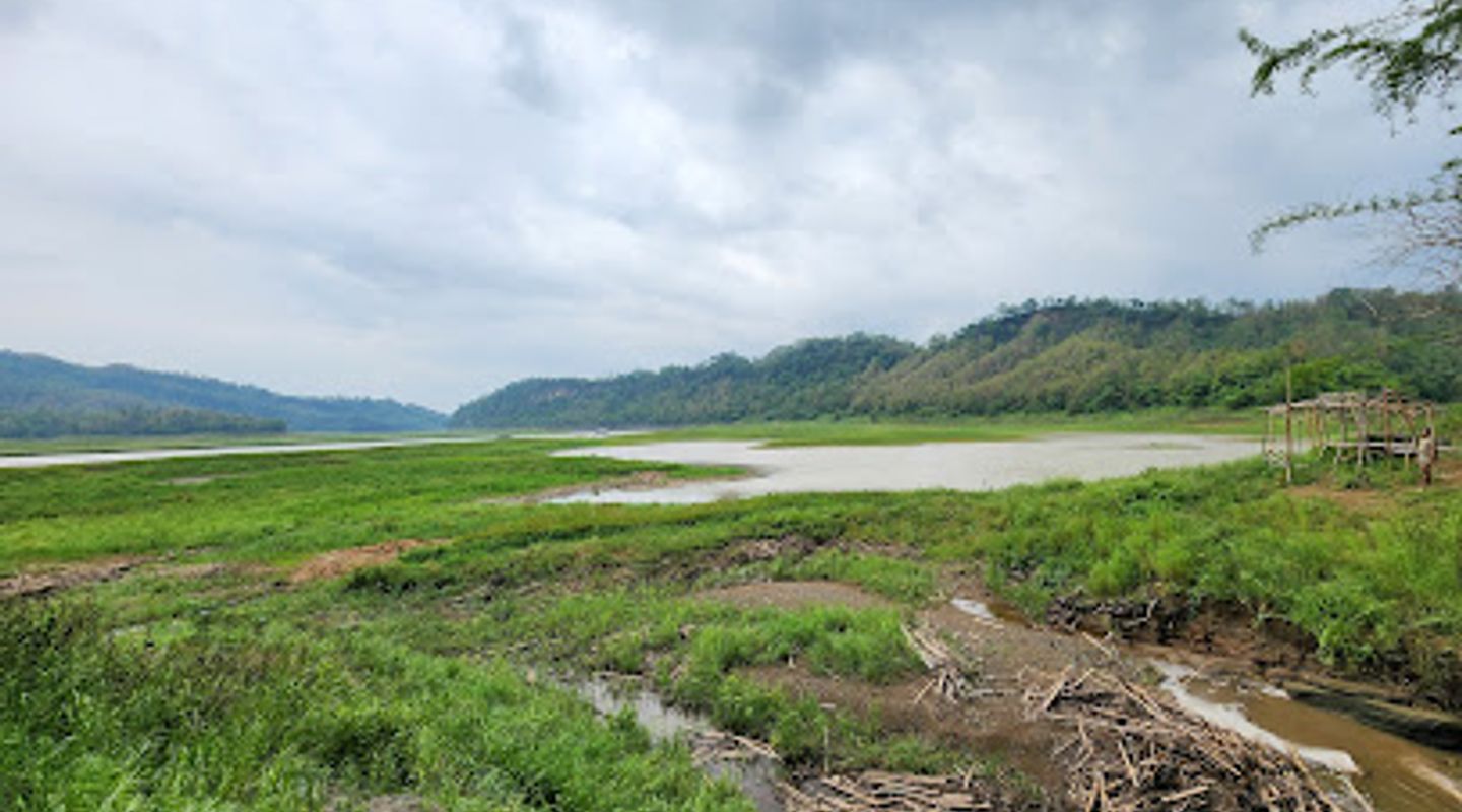 Background