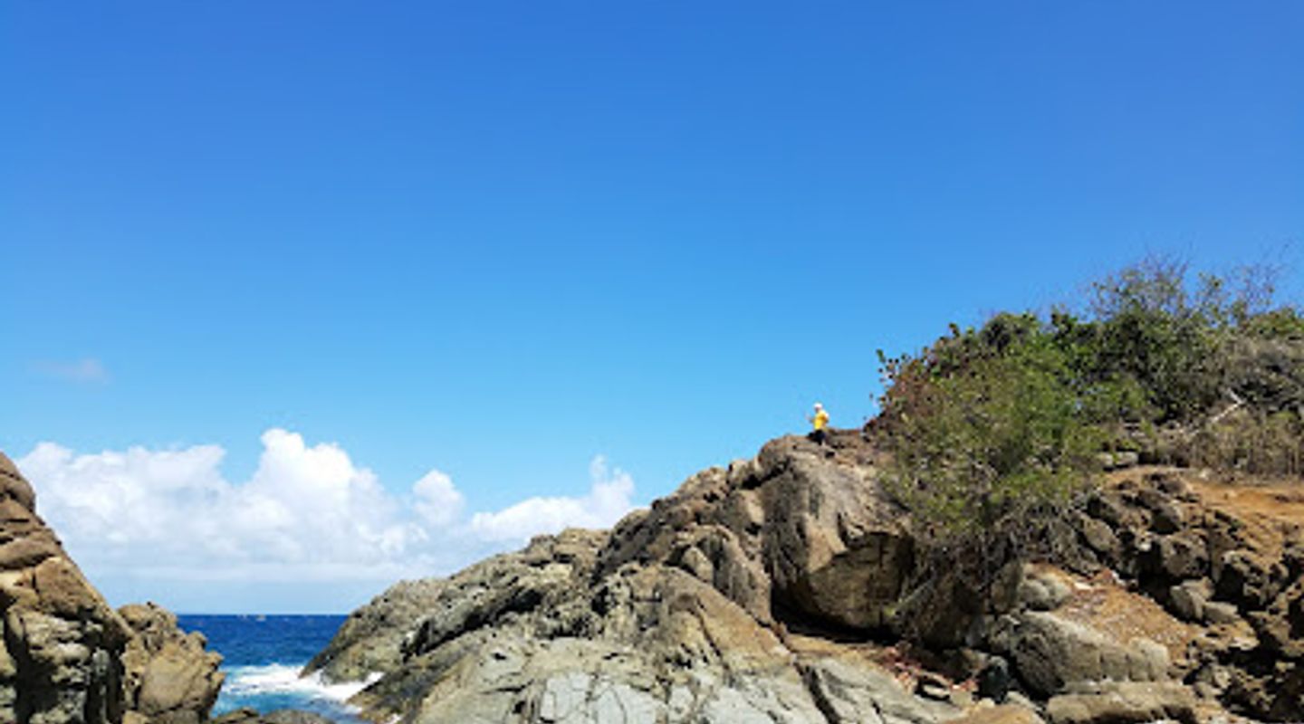 Background