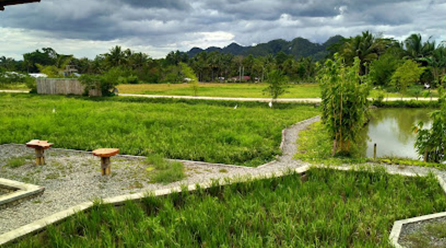 Background