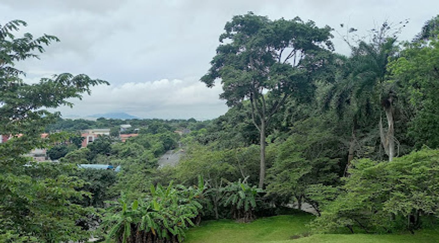Background