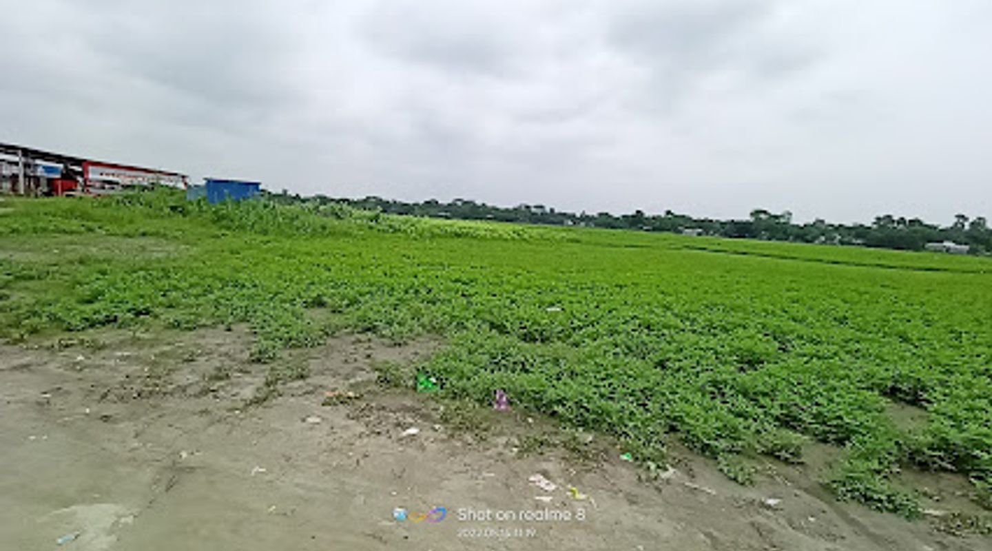 Background