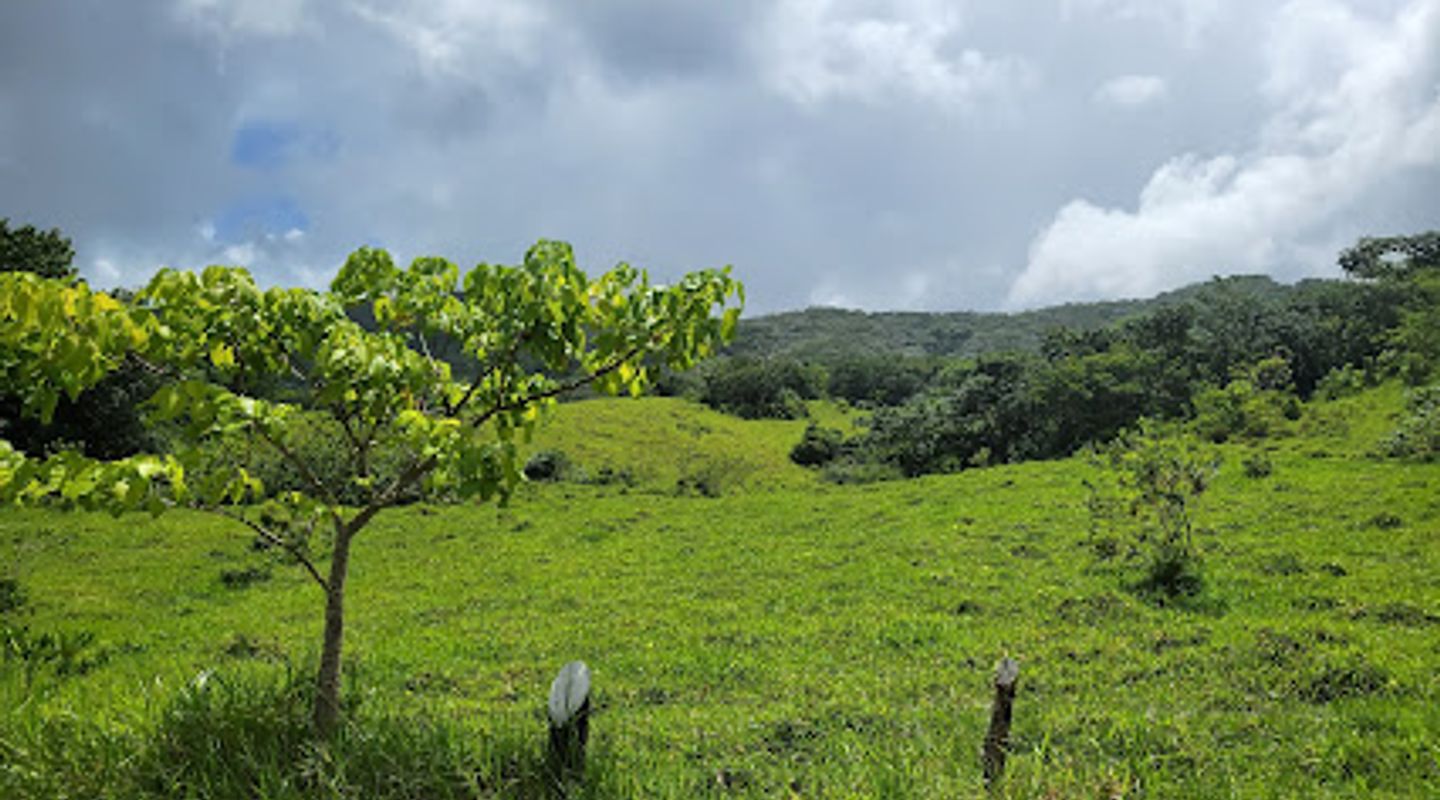 Background
