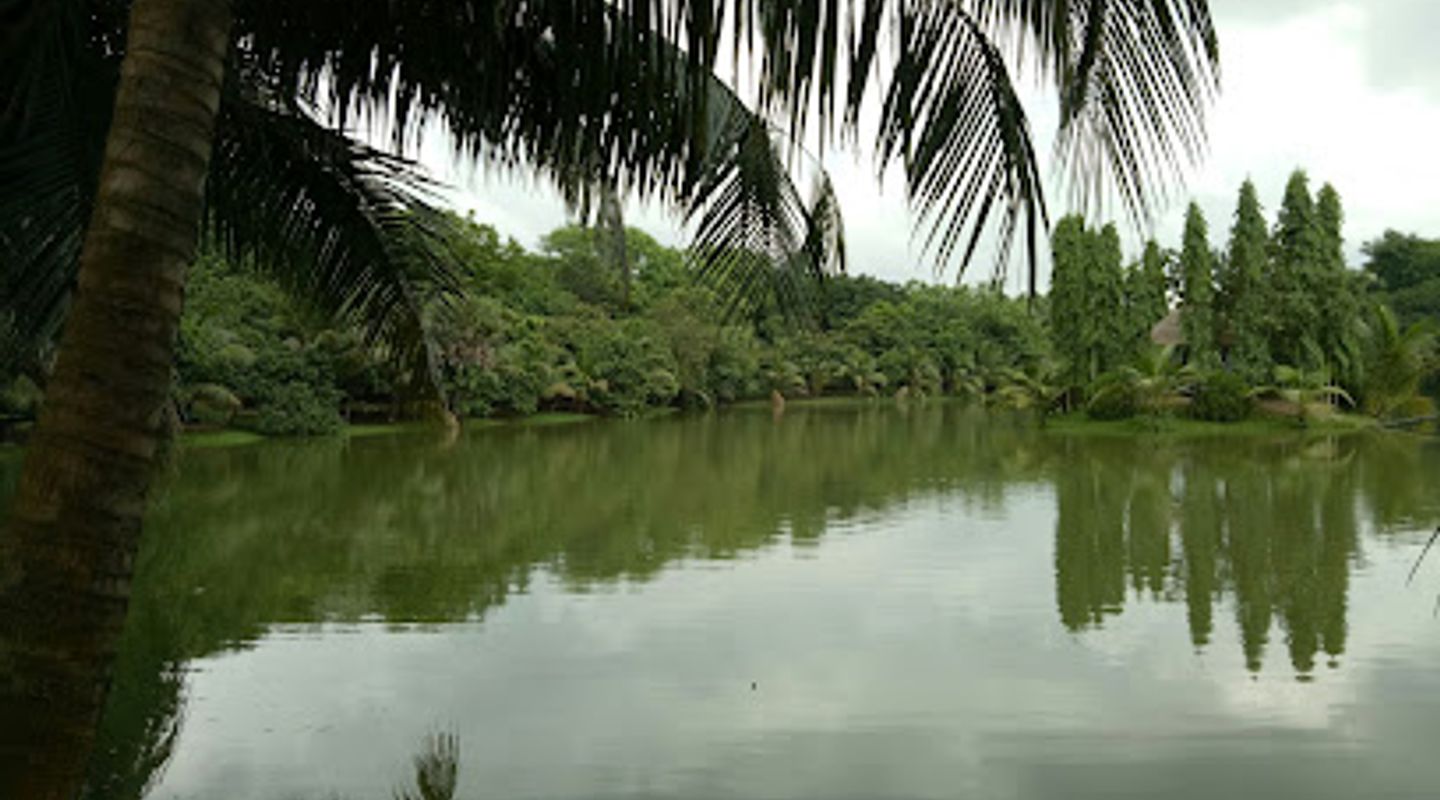 Background