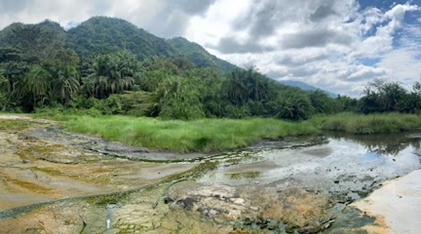 Background