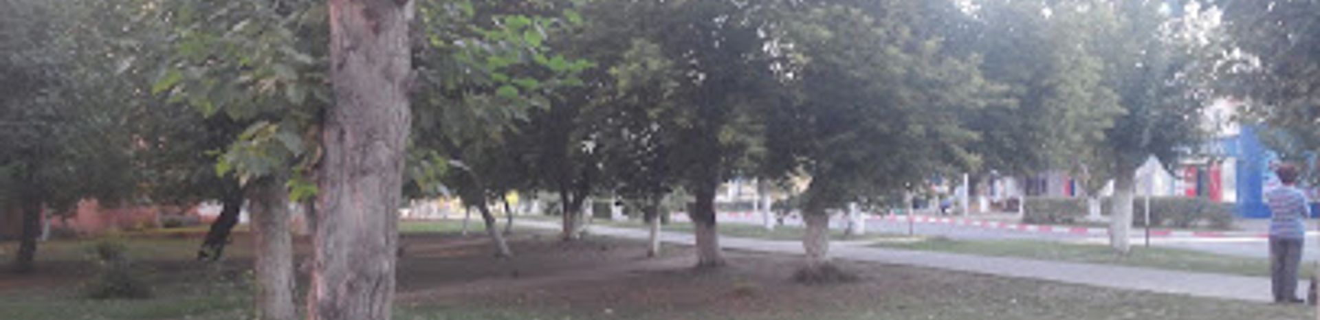 Background