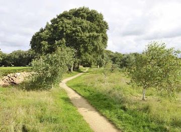 jersey/attraction/les-creux-millenium-park