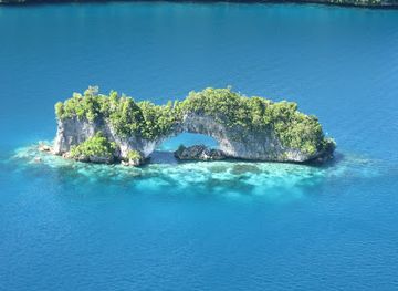 palau/attraction/pacific-mission-aviation-palau