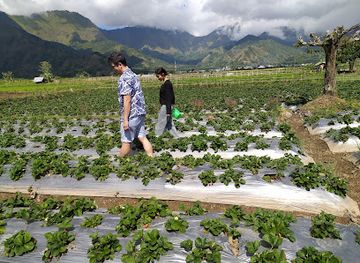 indonesia/attraction/sembalun-village