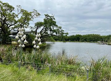louisiana/attraction/louisiana-children-s-museum
