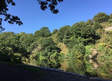 jersey/attraction/st-catherine-s-woods