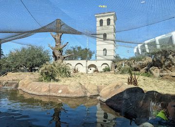 louisiana/attraction/mike-the-tiger-s-habitat