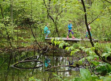 connecticut/attraction/webb-mountain-discovery-zone