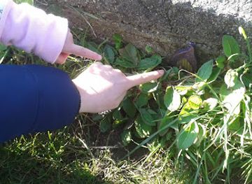 guernsey/attraction/guernsey-fairy-trail