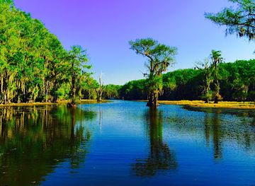 Caddo Lake State Park