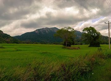 sri-lanka/attraction/ritigala-strict-natural-reserve