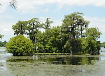 louisiana/attraction/cypress-island-preserve